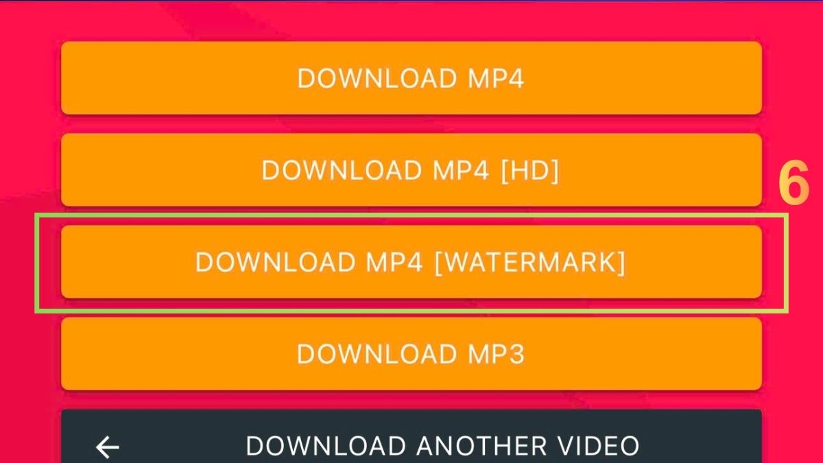 Cách tải video TikTok không logo trên iPhone bằng Musically Down - bước 4