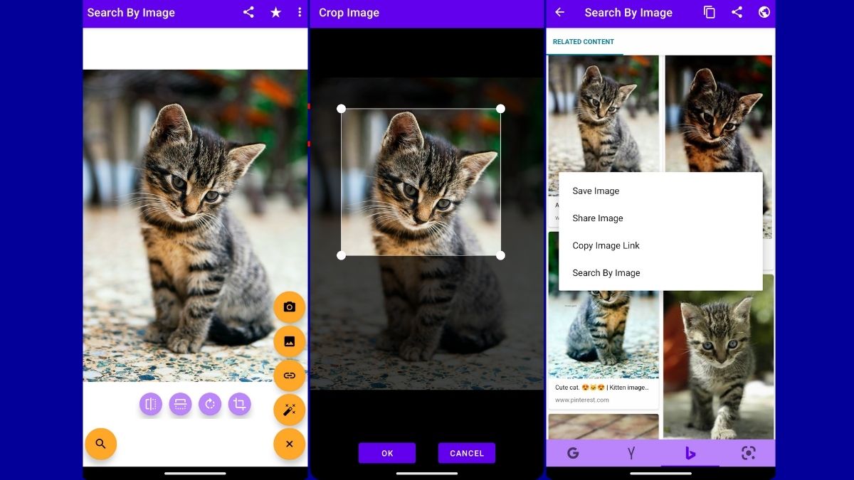 Tìm kiếm bằng hình ảnh trên iPhone từ công cụ Search By Image