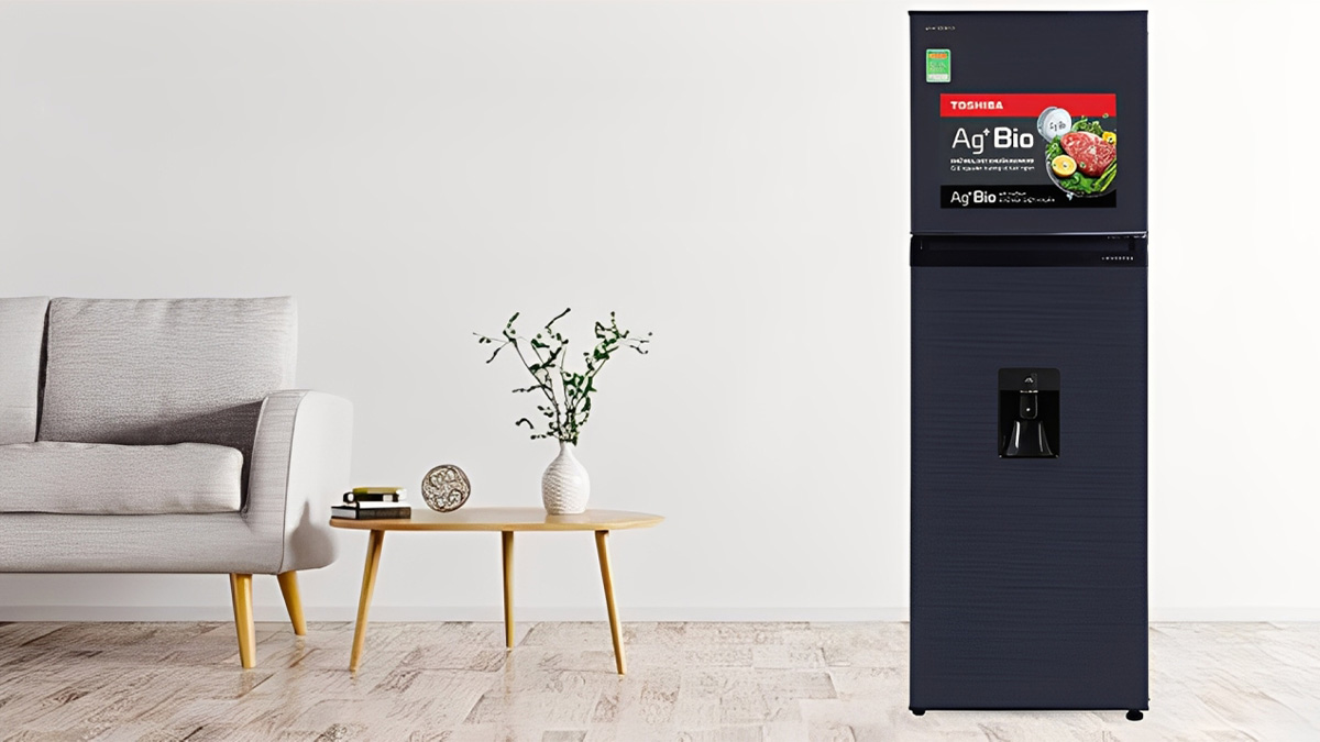 Tủ lạnh có đông ngăn mềm Toshiba 249 lít 2021