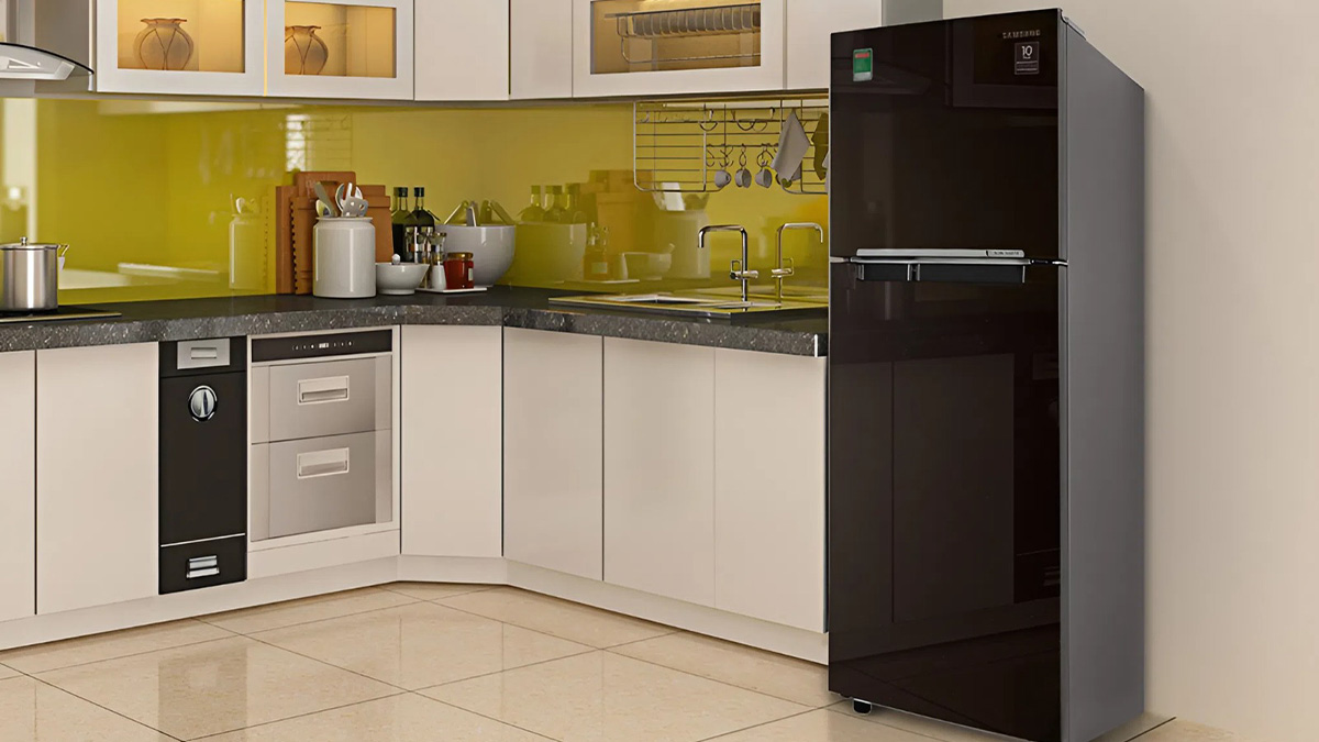 Tủ lạnh có đông ngăn mềm Samsung 236L 2020 RT22M4032BY/SV