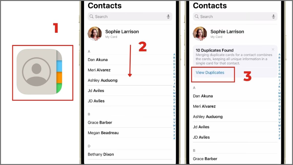 Cách xóa danh bạ trùng lặp iPhone bằng Duplicate Detection - bước 1