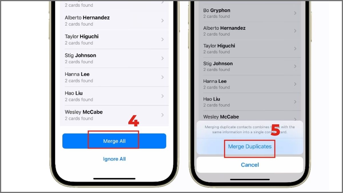 Cách xóa danh bạ trùng lặp iPhone bằng Duplicate Detection - bước 2