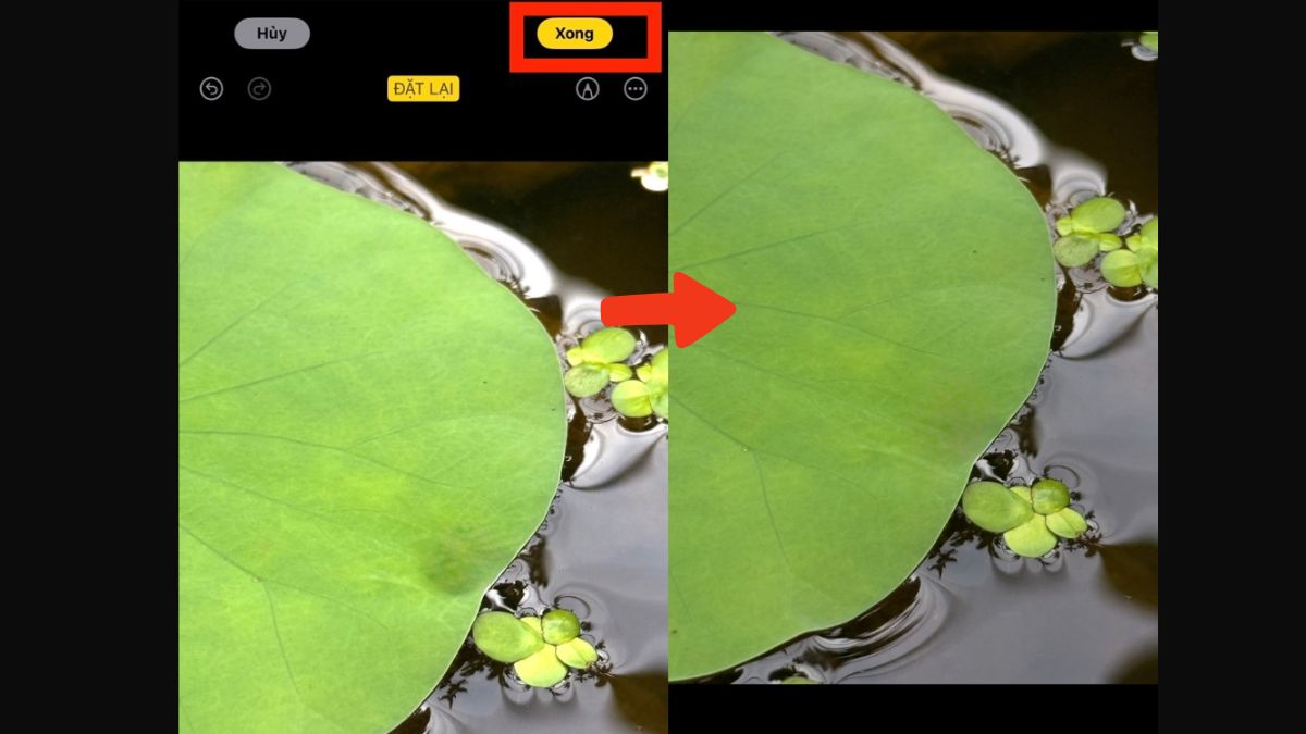 Cách xóa vật thể AI trên iPhone bằng Clean Up trên iOS 18 - bước 3