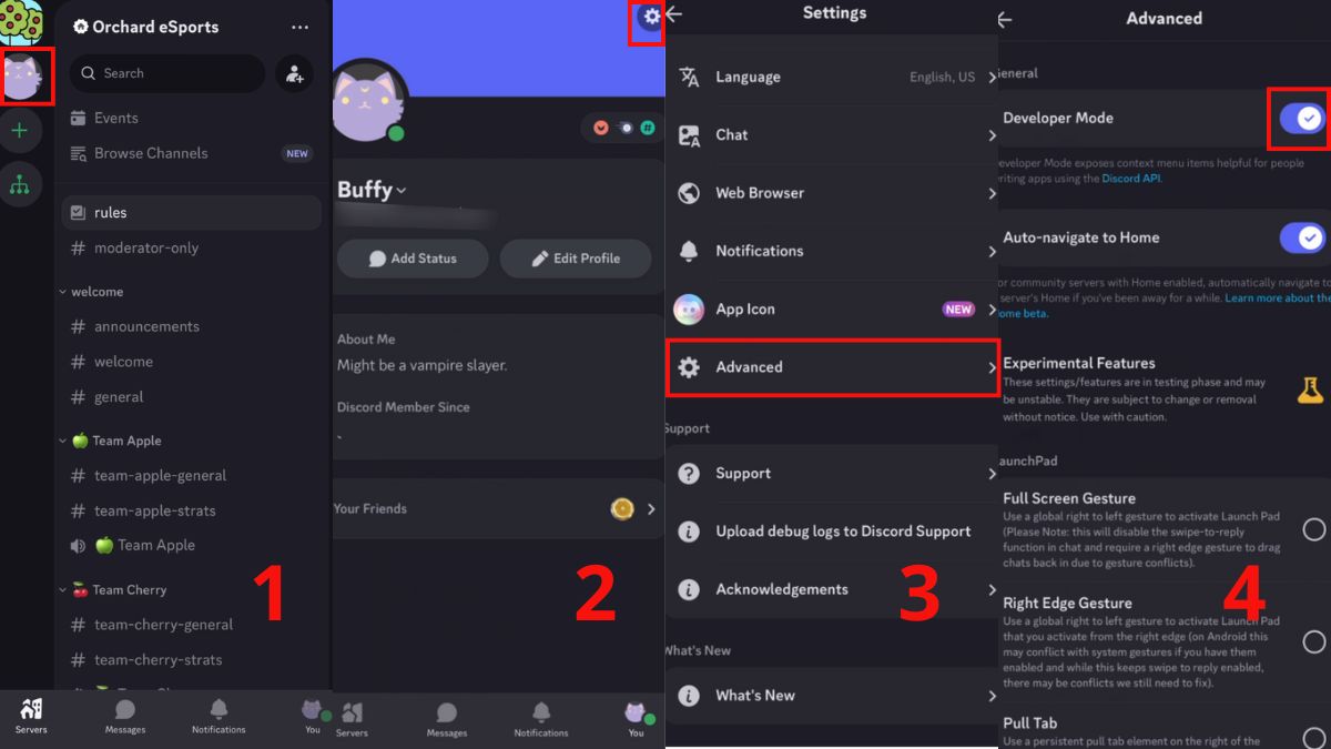 Hướng dẫn cách thiết lập ID Discord - kích hoạt developer mode