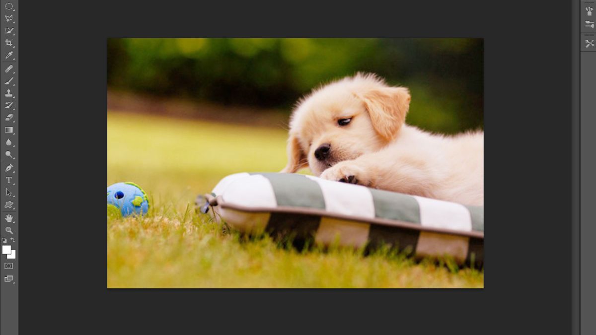 Phân biệt cắt ảnh và tách ảnh nền trong Photoshop