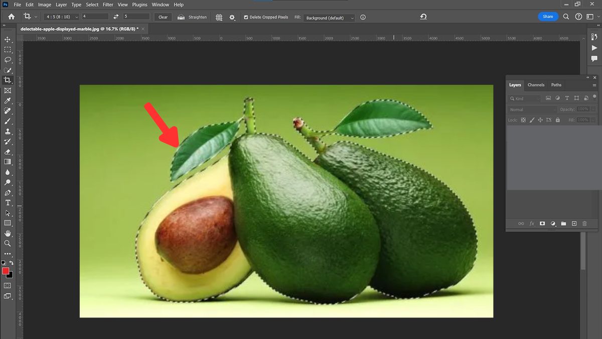 Hướng dẫn cách tách ảnh ra khỏi nền trong Photoshop lasso tool - bước 2