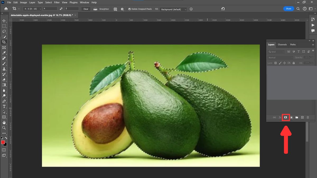 Hướng dẫn cách tách ảnh ra khỏi nền trong Photoshop lasso tool - bước 3
