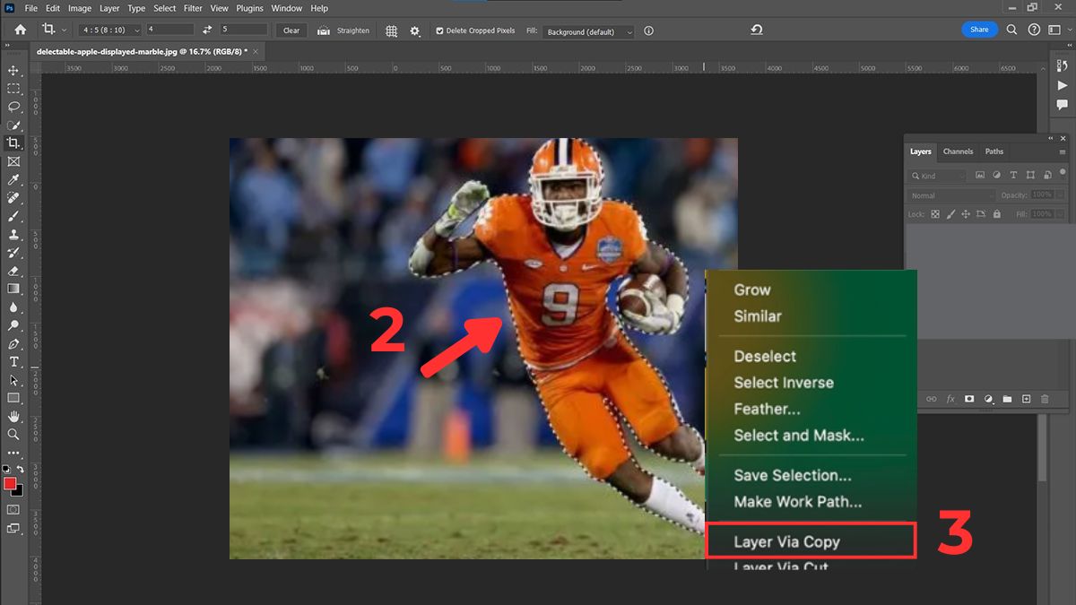 Hướng dẫn cách cắt hình trong Photoshop với Quick Selection Tool - bước 2