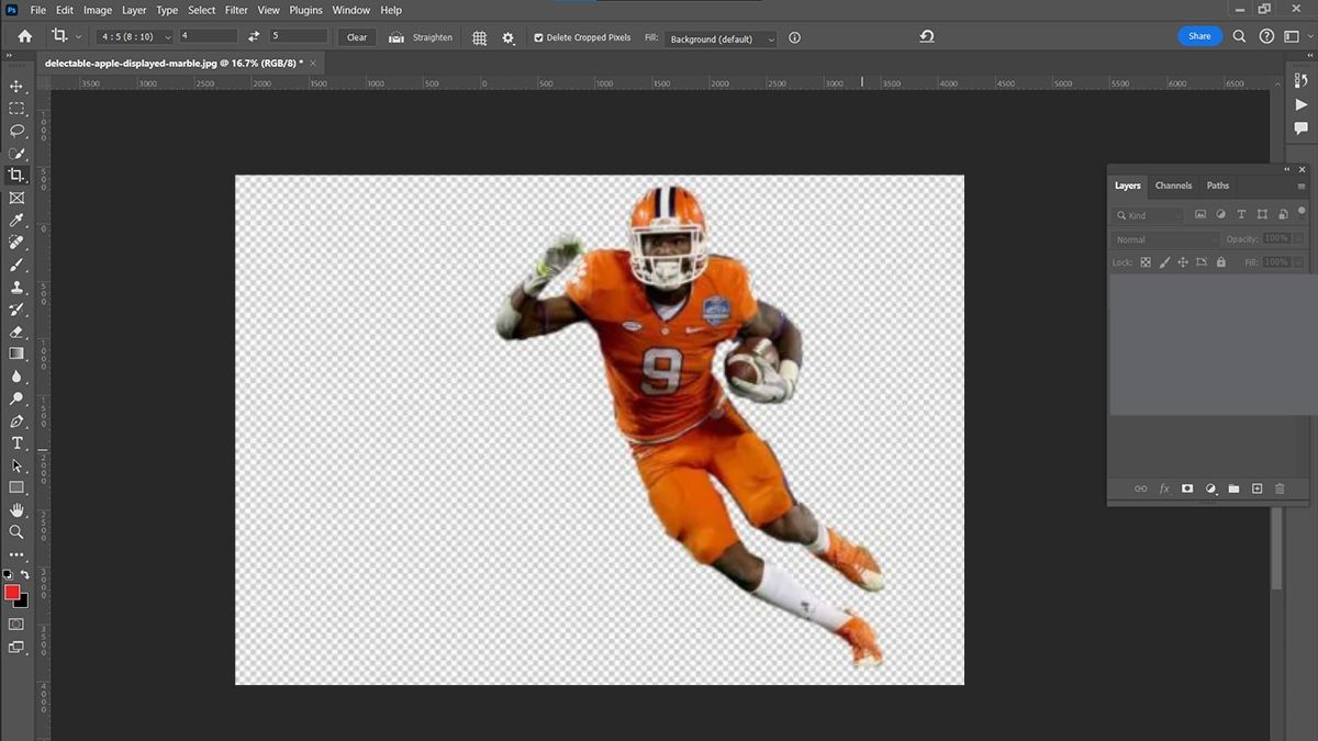 Hướng dẫn cách cắt hình trong Photoshop với Quick Selection Tool - bước 3