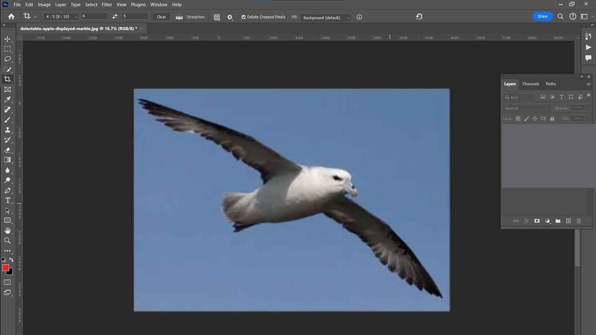 Hướng dẫn cách cắt hình trong Photoshop với Công cụ Magic Wand - bước 1