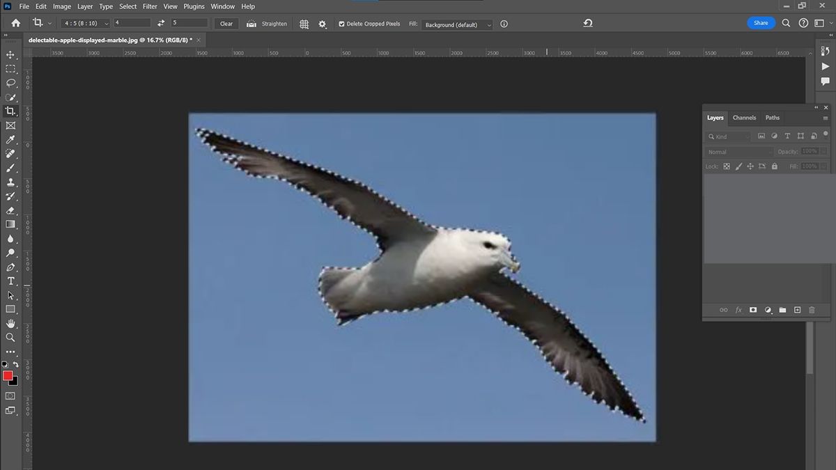 Hướng dẫn cách cắt hình trong Photoshop với Công cụ Magic Wand - bước 2