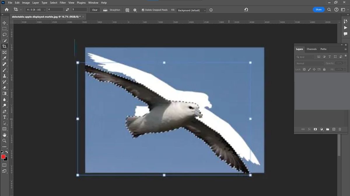 Hướng dẫn cách cắt hình trong Photoshop với Công cụ Magic Wand - bước 3