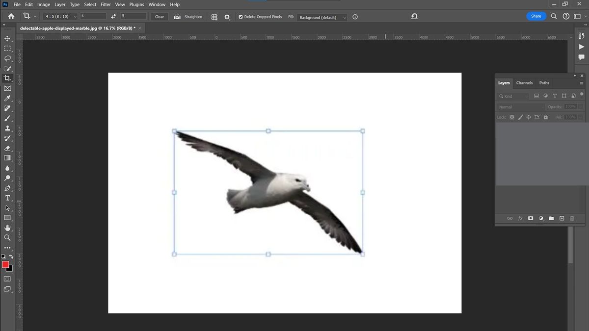 Hướng dẫn cách cắt hình trong Photoshop với Công cụ Magic Wand - bước 4