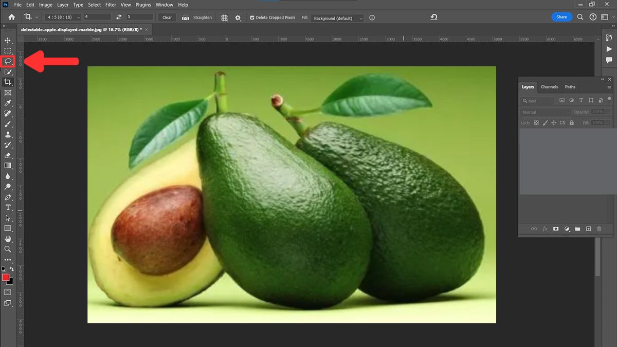 Hướng dẫn cách tách ảnh ra khỏi nền trong Photoshop lasso tool - bước 1