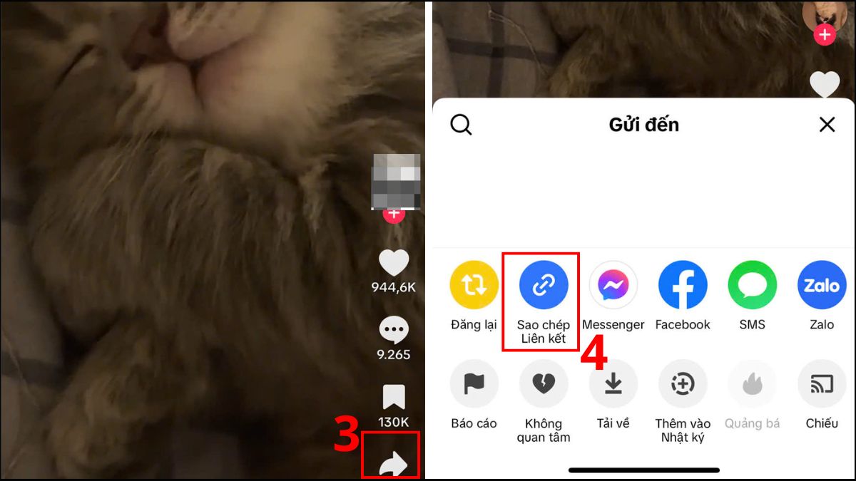 Cách bỏ logo TikTok trên iPhone bằng TikSaver - bước 2