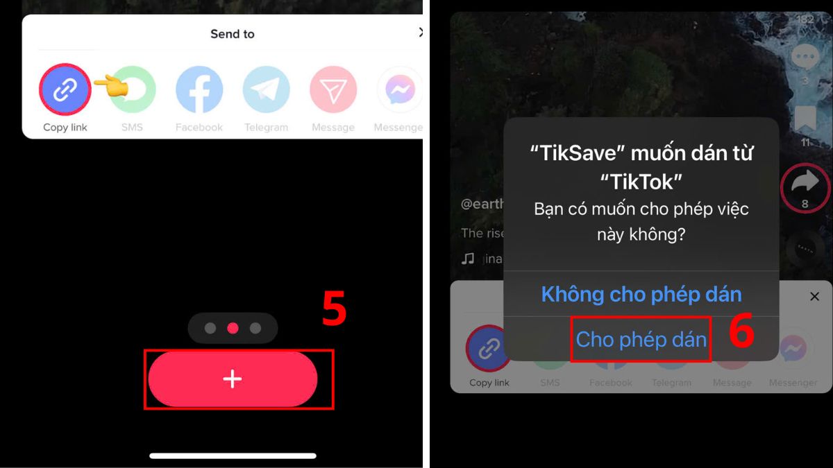 Cách bỏ logo TikTok trên iPhone bằng TikSaver - bước 3