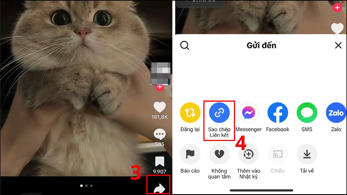 Cách bỏ logo TikTok trên iPhone bằng SaveTik - bước 2