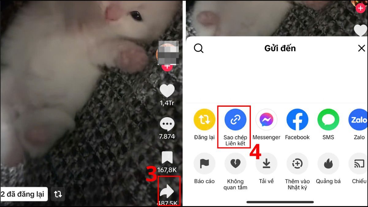 Cách bỏ logo TikTok trên iPhone bằng ReposterTik - bước 2