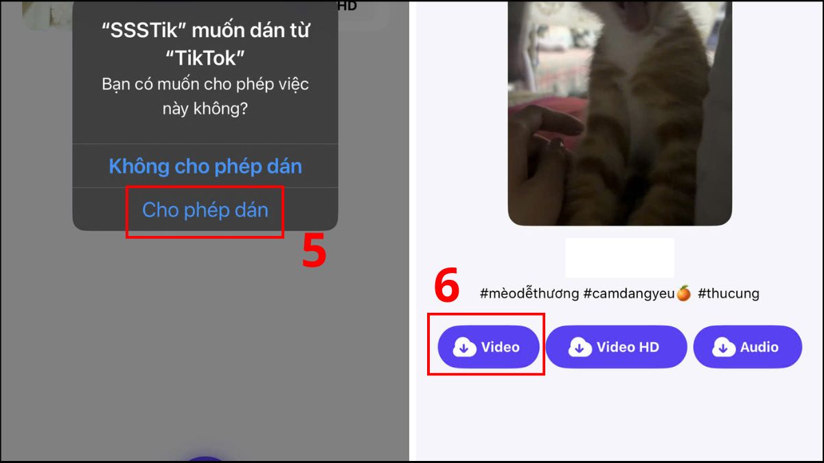 SSSTik app xóa logo TikTok trên iPhone - bước 3
