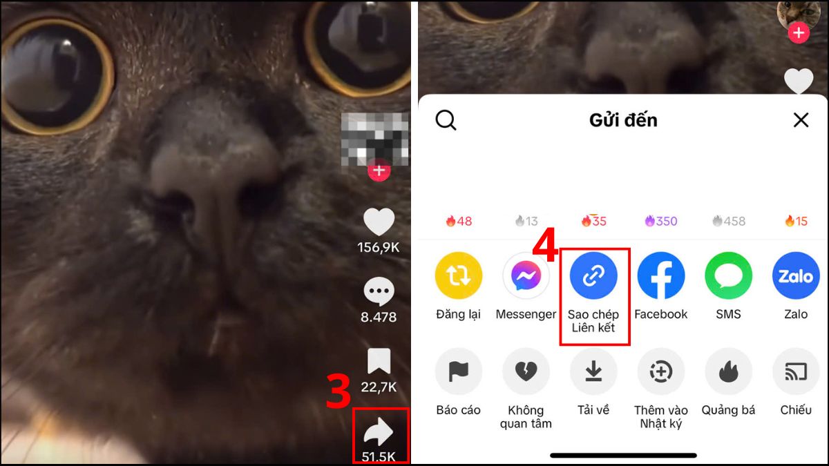 Xóa logo TikTok trên iPhone video bằng SnapTik: Video Saver - bước 2
