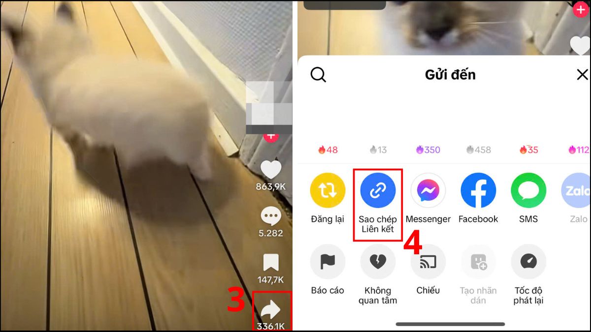 SaveTok app xóa logo TikTok trên iPhone - bước 2