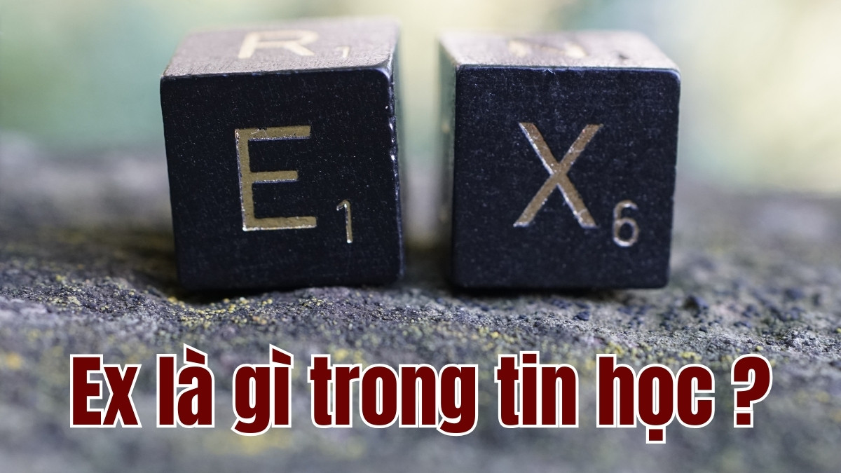 Ex là gì trong tin học
