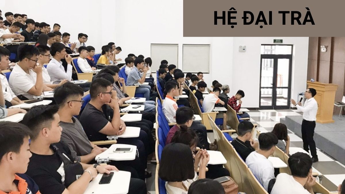 Hệ đại trà là gì? Có gì đặc biệt so với chương trình khác?