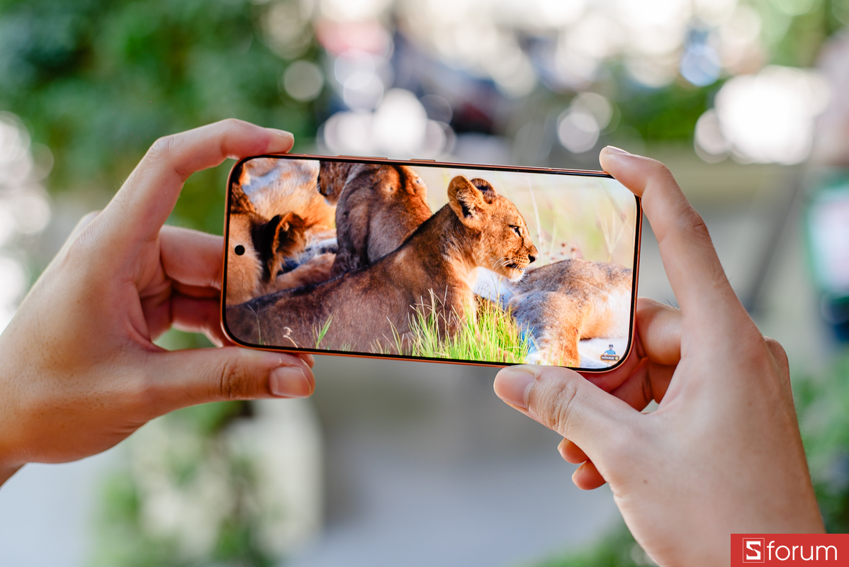 Đánh giá Honor 600 về màn hình