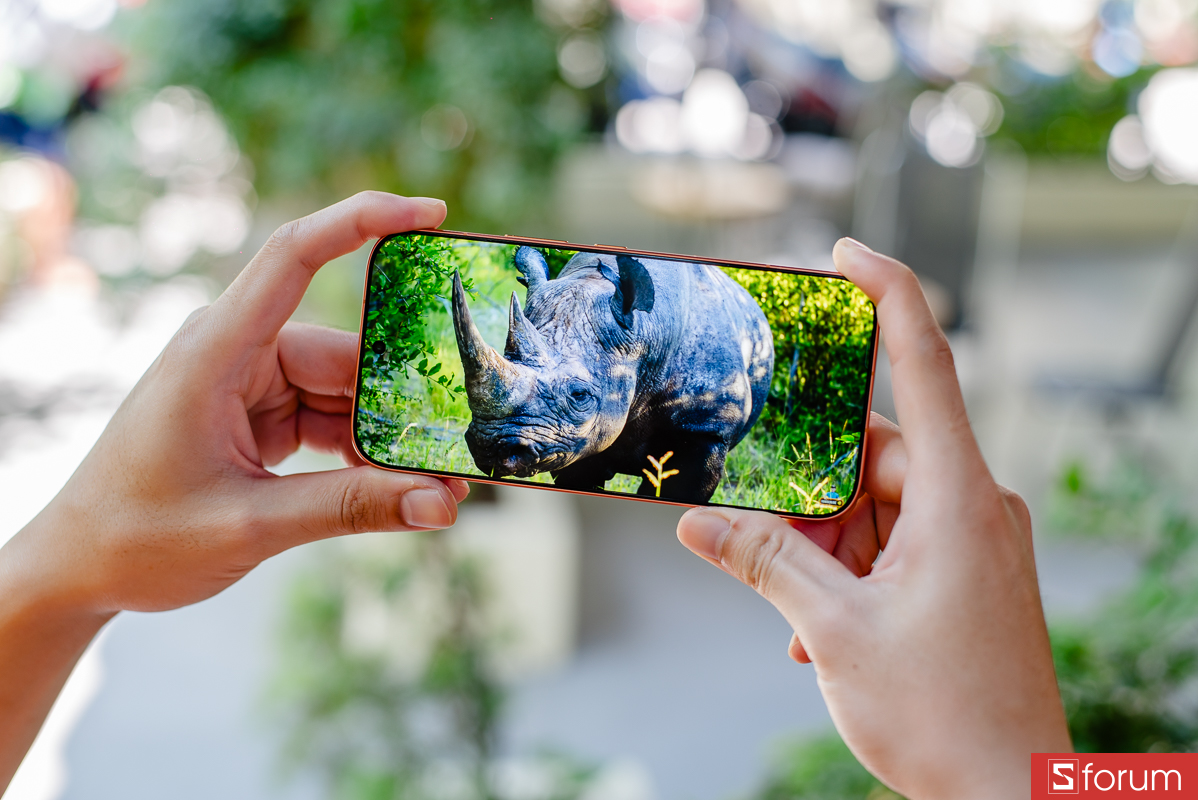 Đánh giá Honor 600 về màn hình: Chất lượng tấm nền tốt, màu sắc rực rỡ