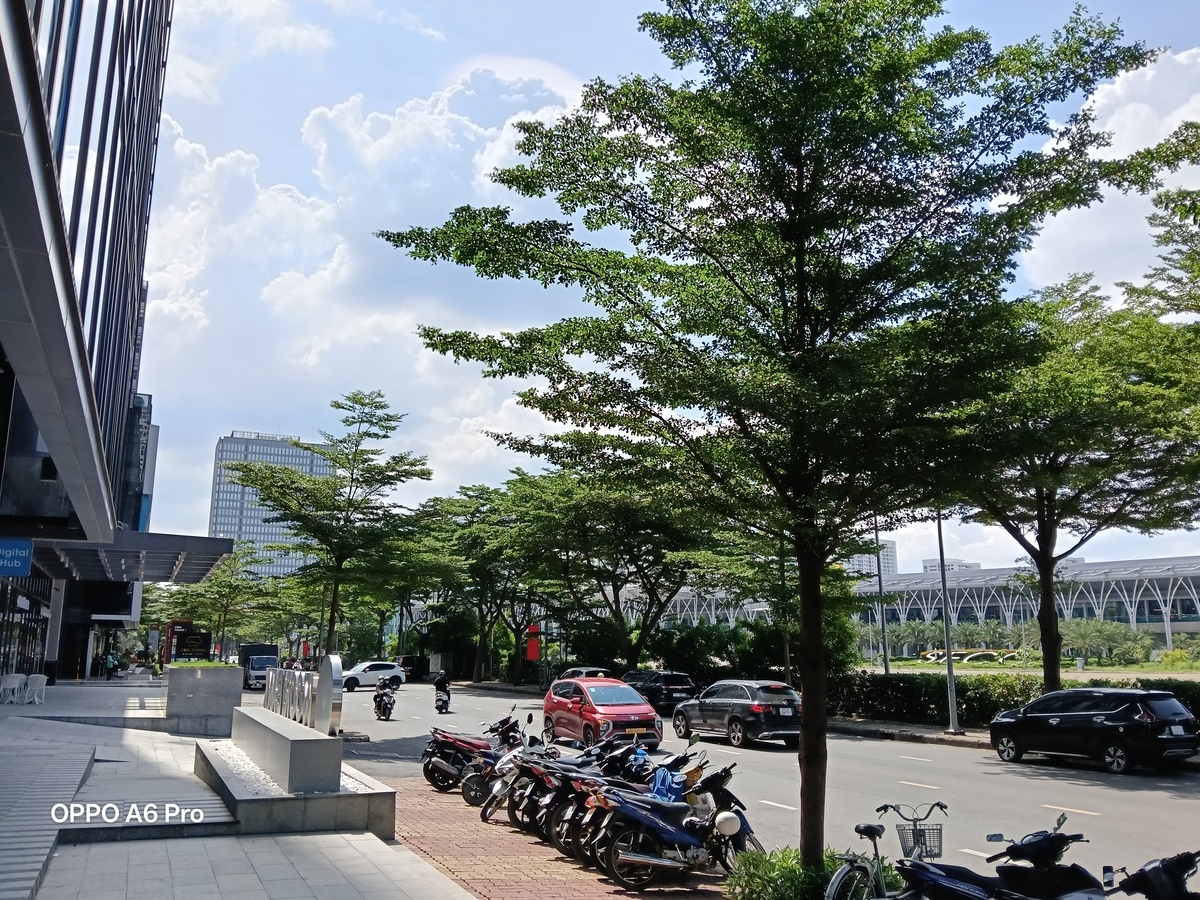 Ảnh chụp từ camera OPPO A6 Pro