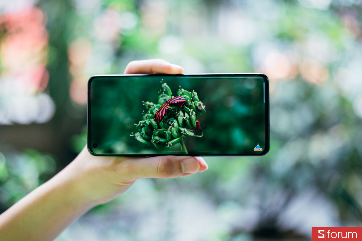 Độ sáng tối đa lên đến 1300 nits ở chế độ HDR