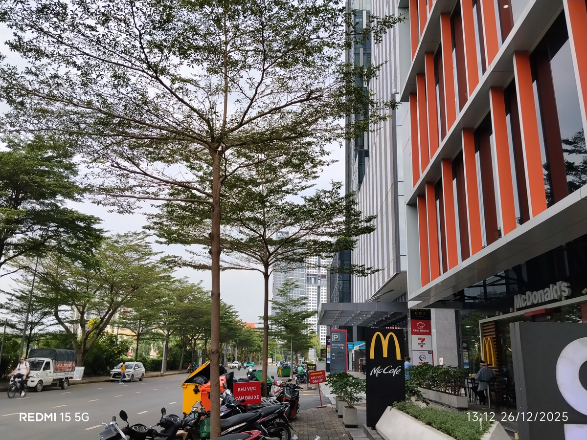 Camera của Redmi 15 5G có chất lượng ổn khi chụp ban ngày