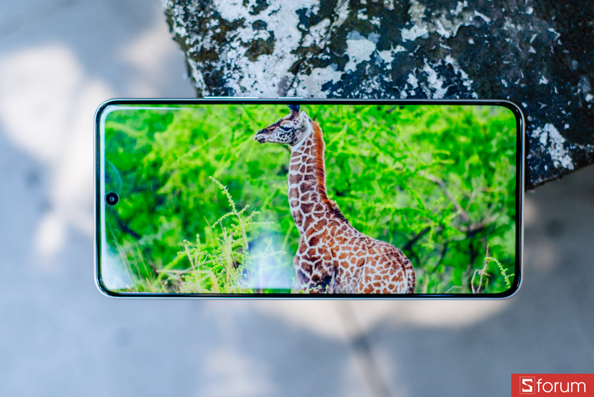 Màn hình hỗ trợ tần số quét 120Hz mượt mà