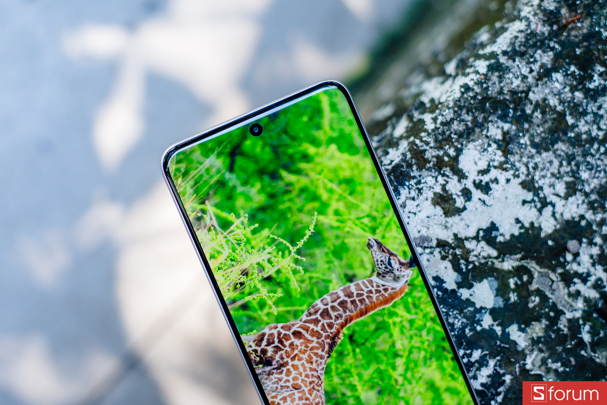 Màn hình hỗ trợ tần số quét 120Hz mượt mà