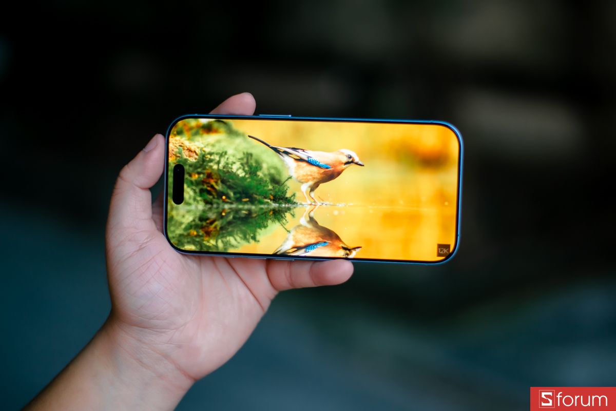 iPhone 17 cho trải nghiệm hình ảnh cực kỳ đẹp với màu sắc chính xác