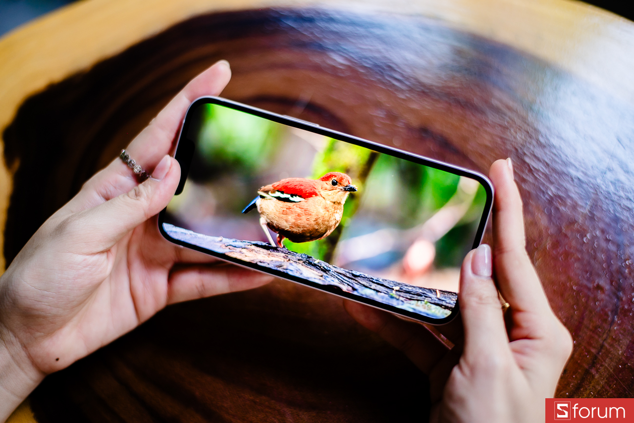 Đánh giá iPhone 17e: Tần số quét 60 Hz là điểm yếu