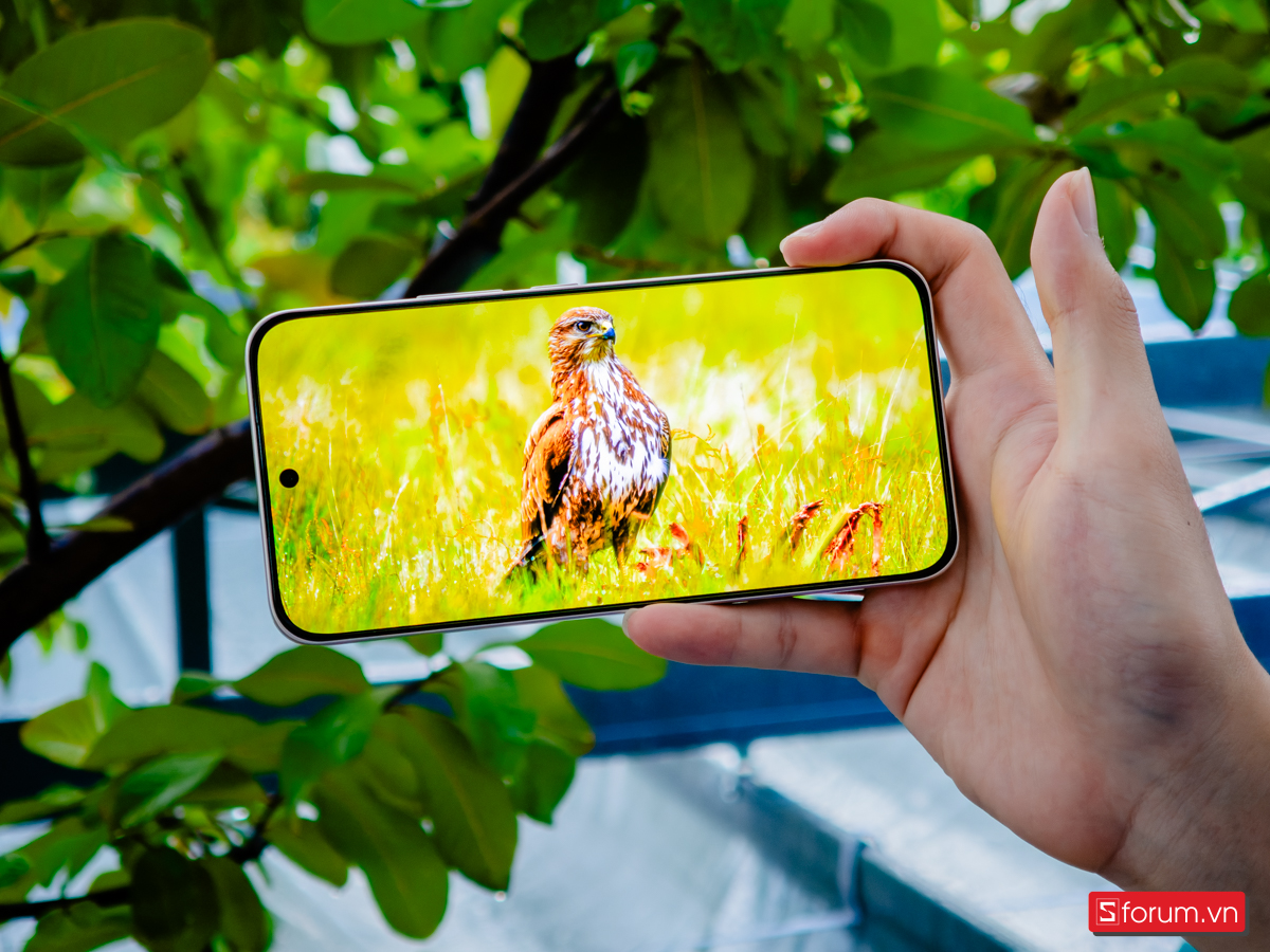 So sánh Xiaomi 15T với Honor 400 về màn hình