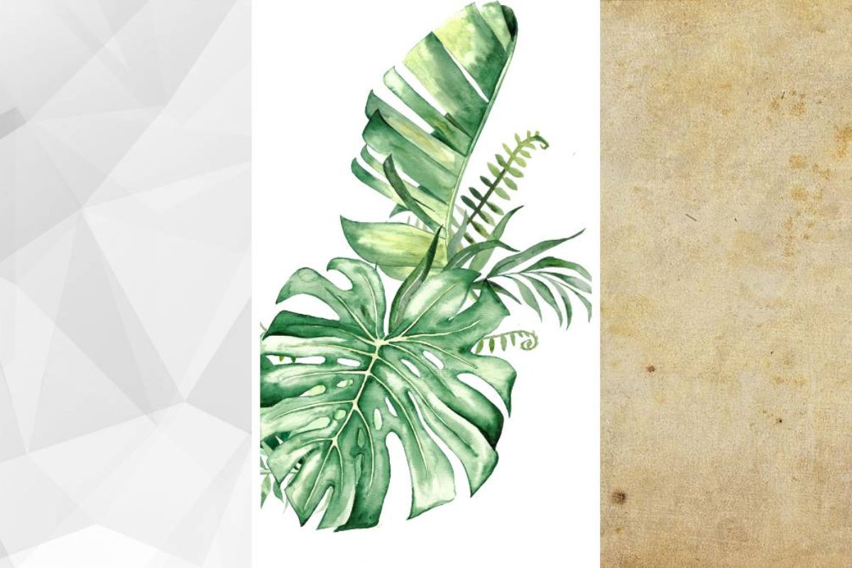 Cách làm bao lì xì Tết Bính Ngọ đẹp, đơn giản và ý nghĩa 6