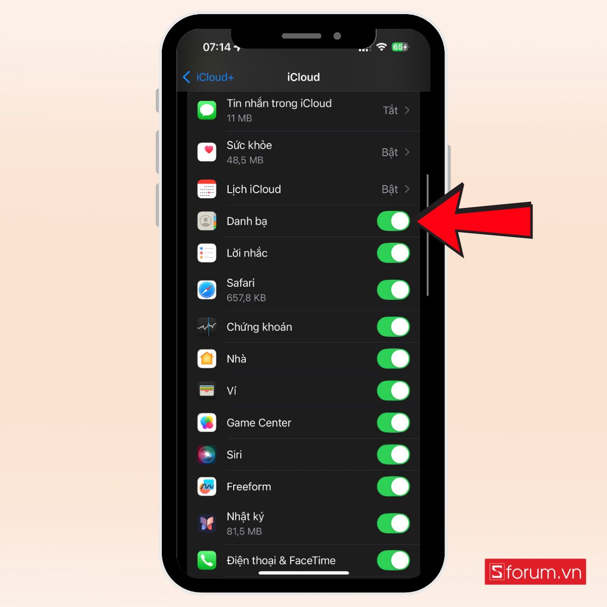 Kiểm tra mục Danh bạ đã bật khi chuyển danh bạ từ iPhone sang Android qua iCloud