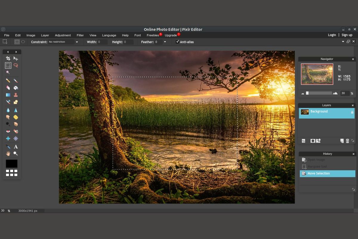 Công cụ thay đổi nền ảnh hàng loạt: Giải pháp nhanh gọn cho người làm nội dung 5
