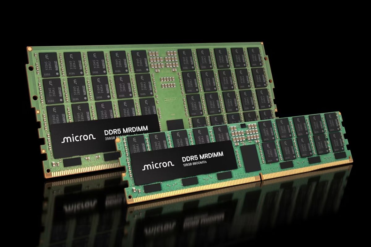 Khi nào nên chọn DIMM và ai sẽ phù hợp?