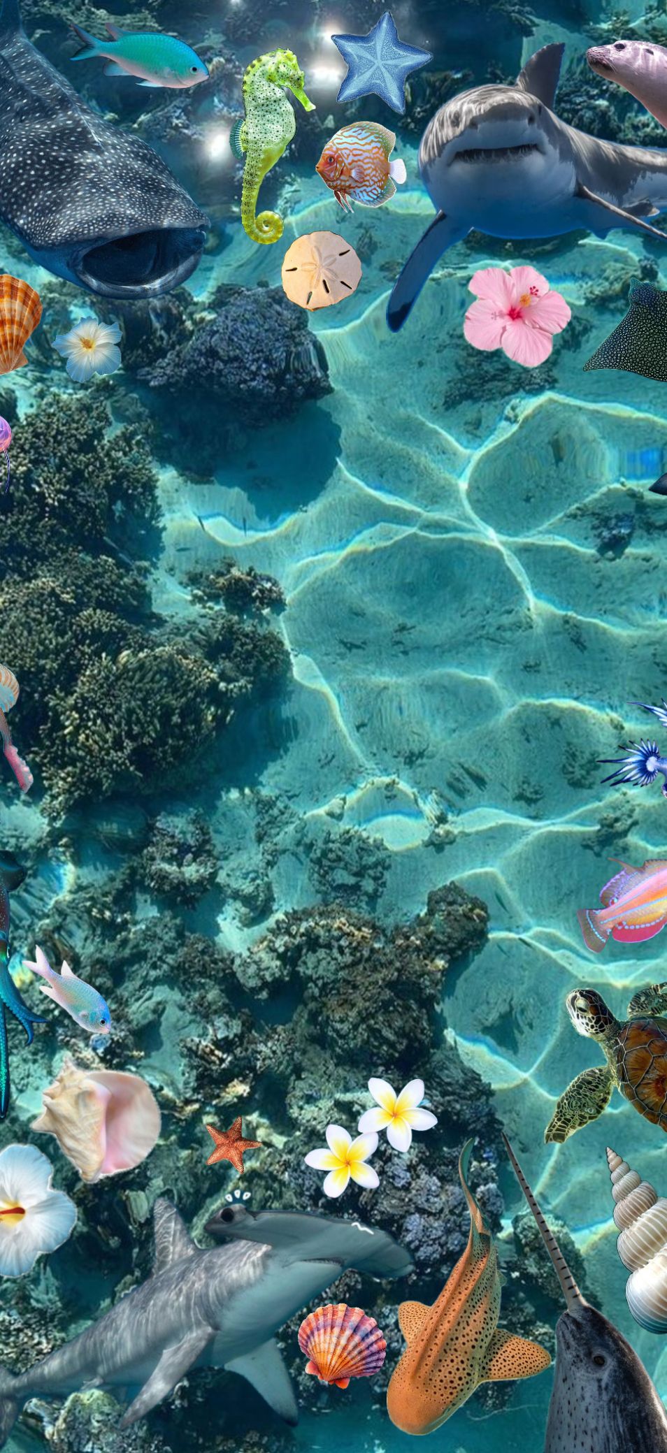 Hình nền OPPO Find X9 đại dương và biển cả