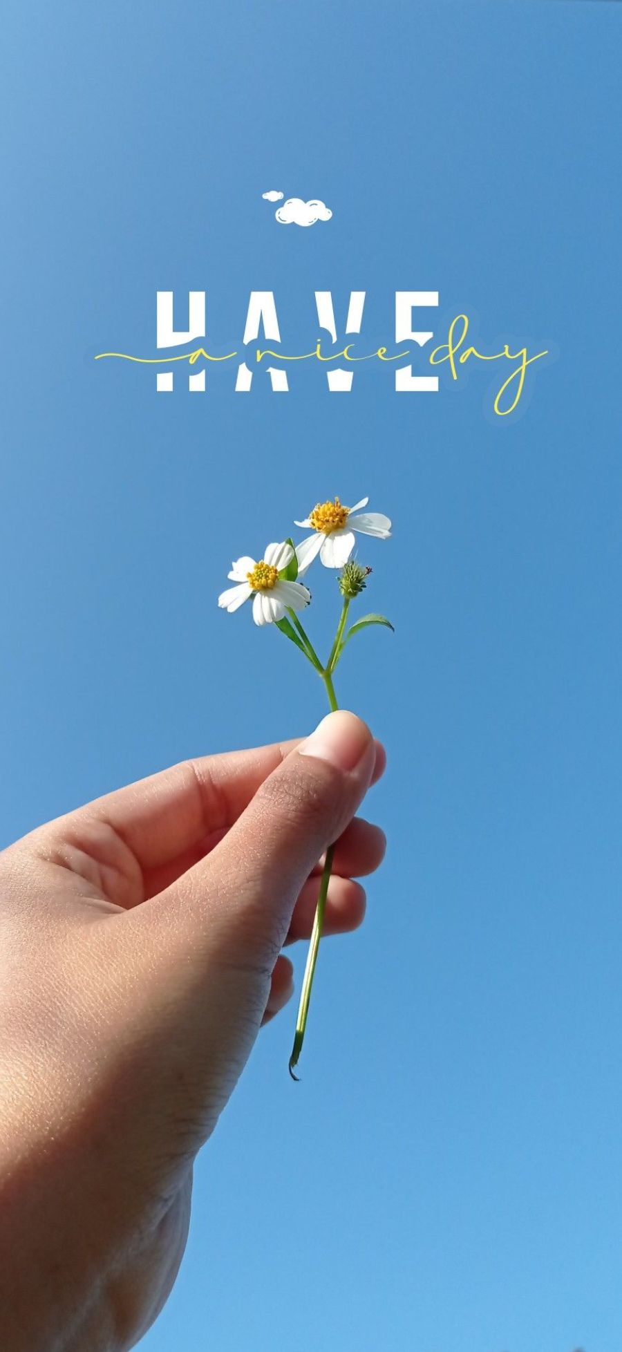 Gợi ý bộ sưu tập hình nền Xiaomi 17 Ultra đẹp, dễ dùng cho nhiều “vibe” khác nhau