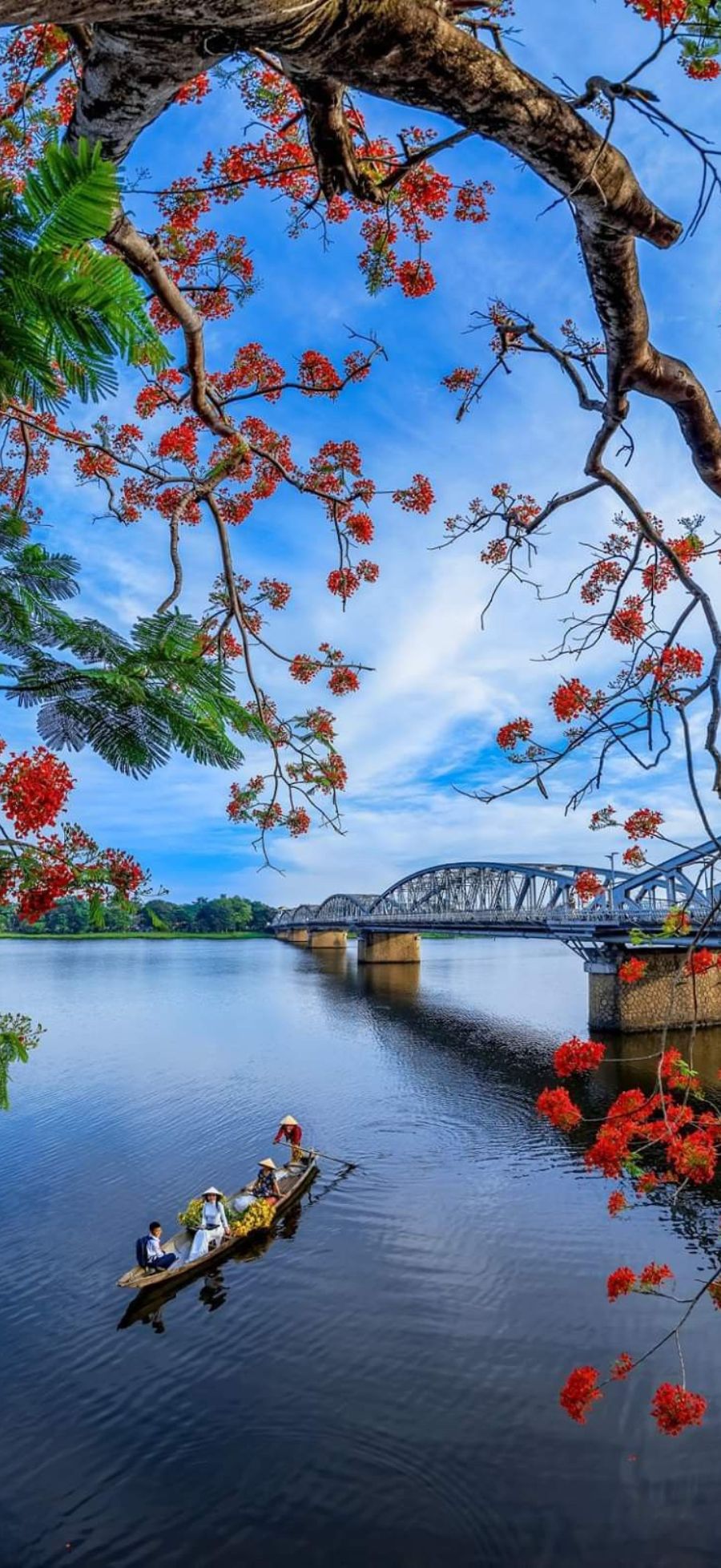 Gợi ý bộ sưu tập hình nền Xiaomi 17 Ultra đẹp, dễ dùng cho nhiều “vibe” khác nhau