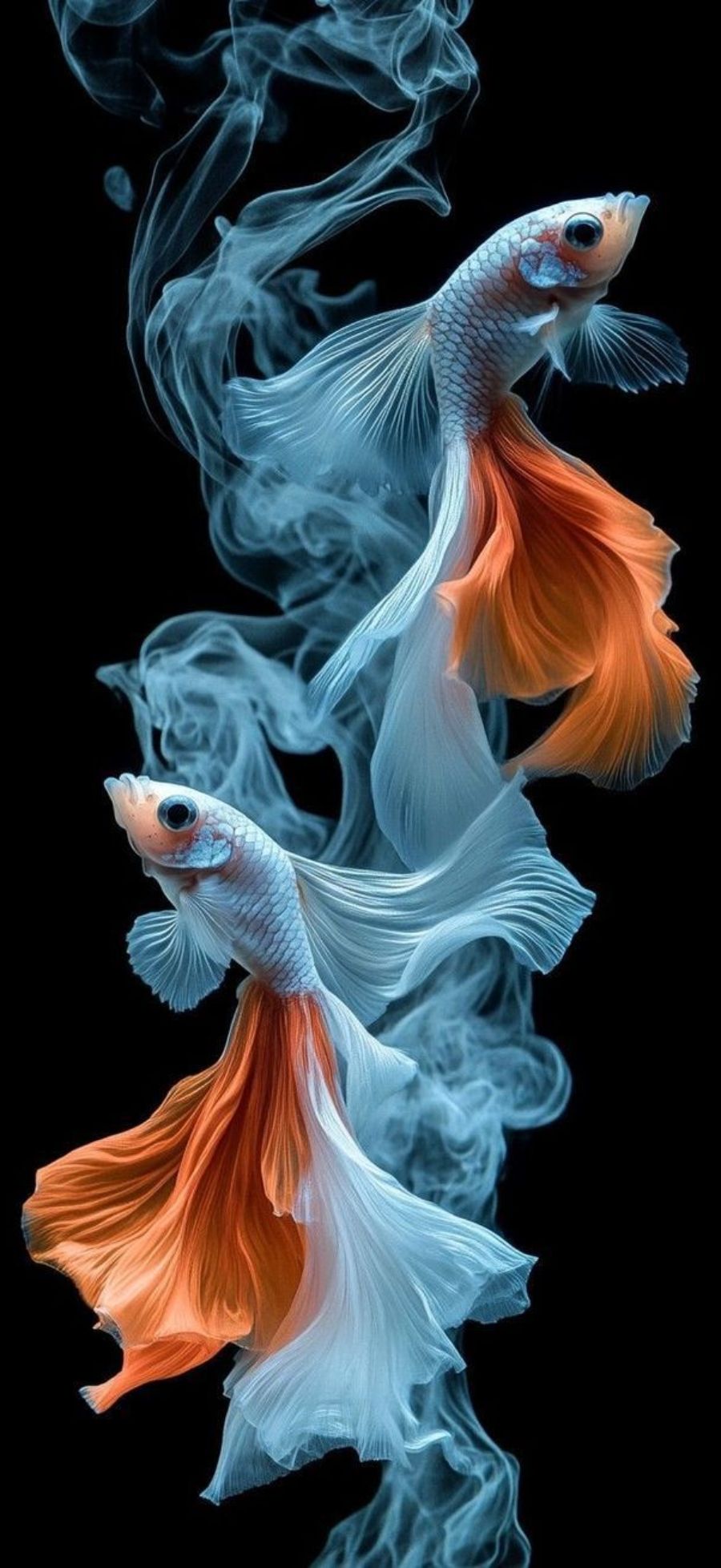 Gợi ý bộ sưu tập hình nền Xiaomi 17 Ultra đẹp, dễ dùng cho nhiều “vibe” khác nhau