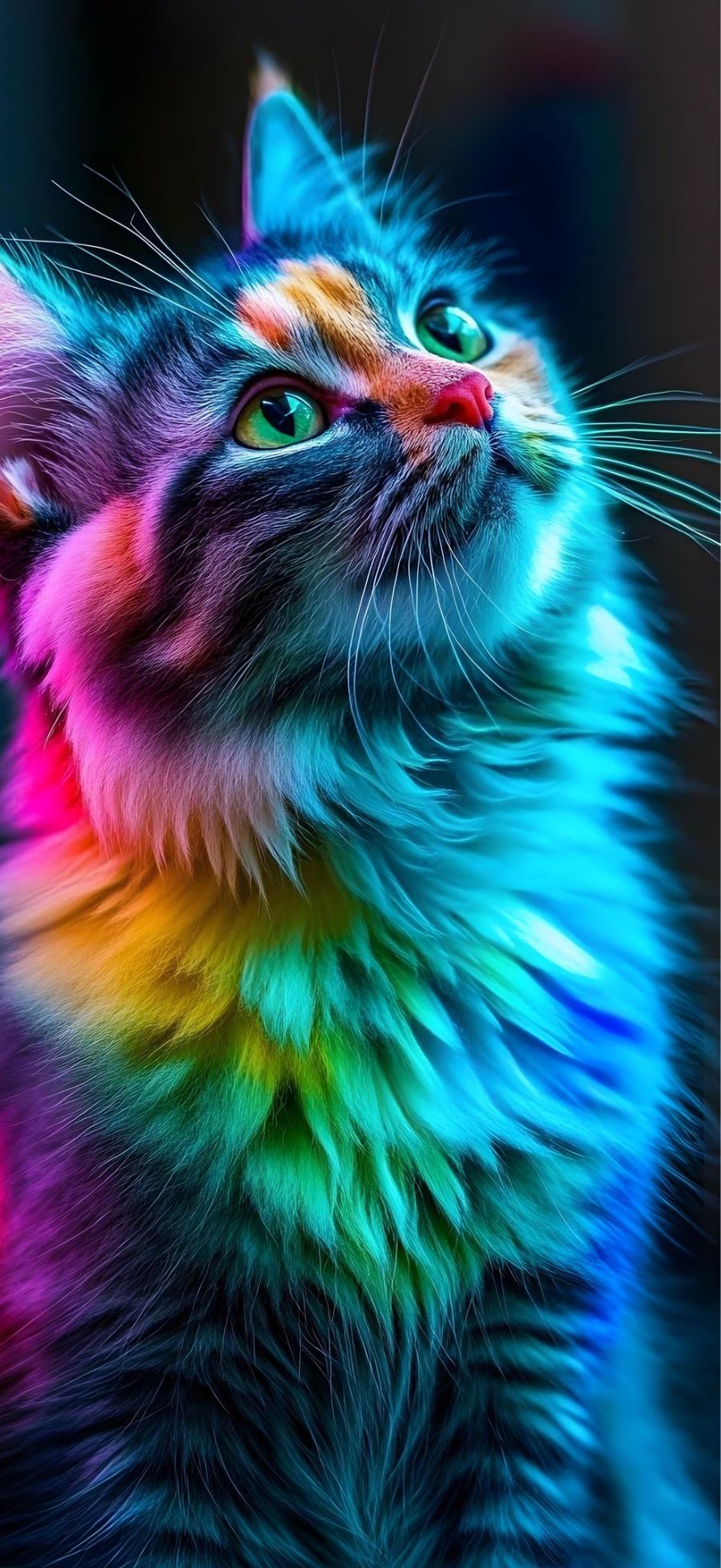 Gợi ý bộ sưu tập hình nền Xiaomi 17 Ultra đẹp, dễ dùng cho nhiều “vibe” khác nhau