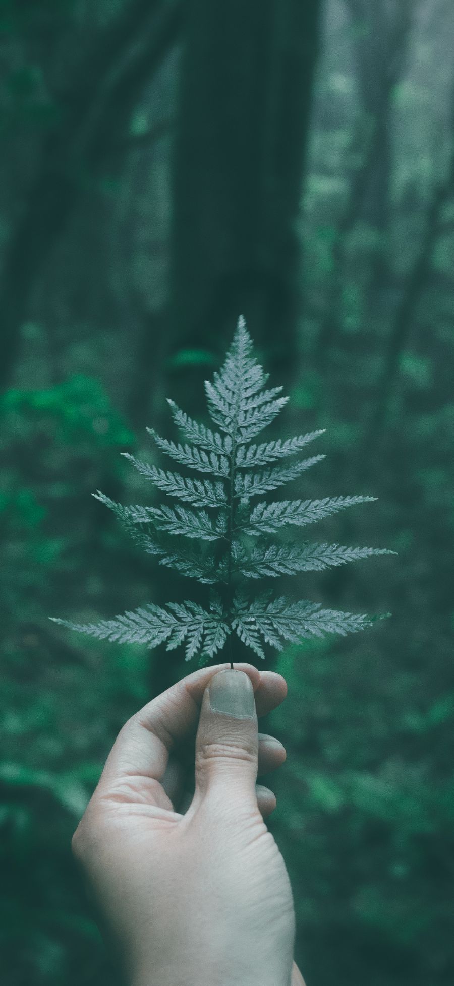 Gợi ý bộ sưu tập hình nền Xiaomi 17 Ultra đẹp, dễ dùng cho nhiều “vibe” khác nhau