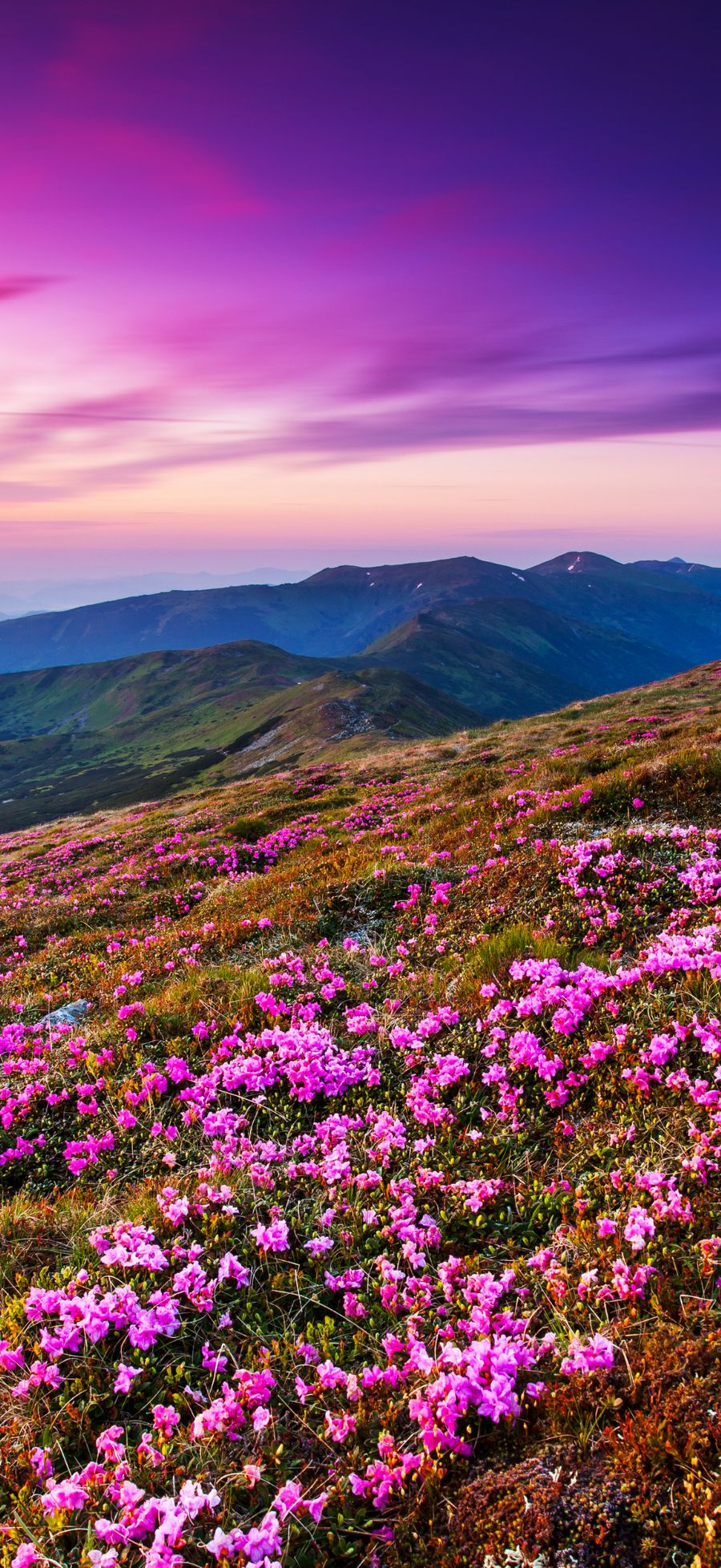 Gợi ý bộ sưu tập hình nền Xiaomi 17 Ultra đẹp, dễ dùng cho nhiều “vibe” khác nhau