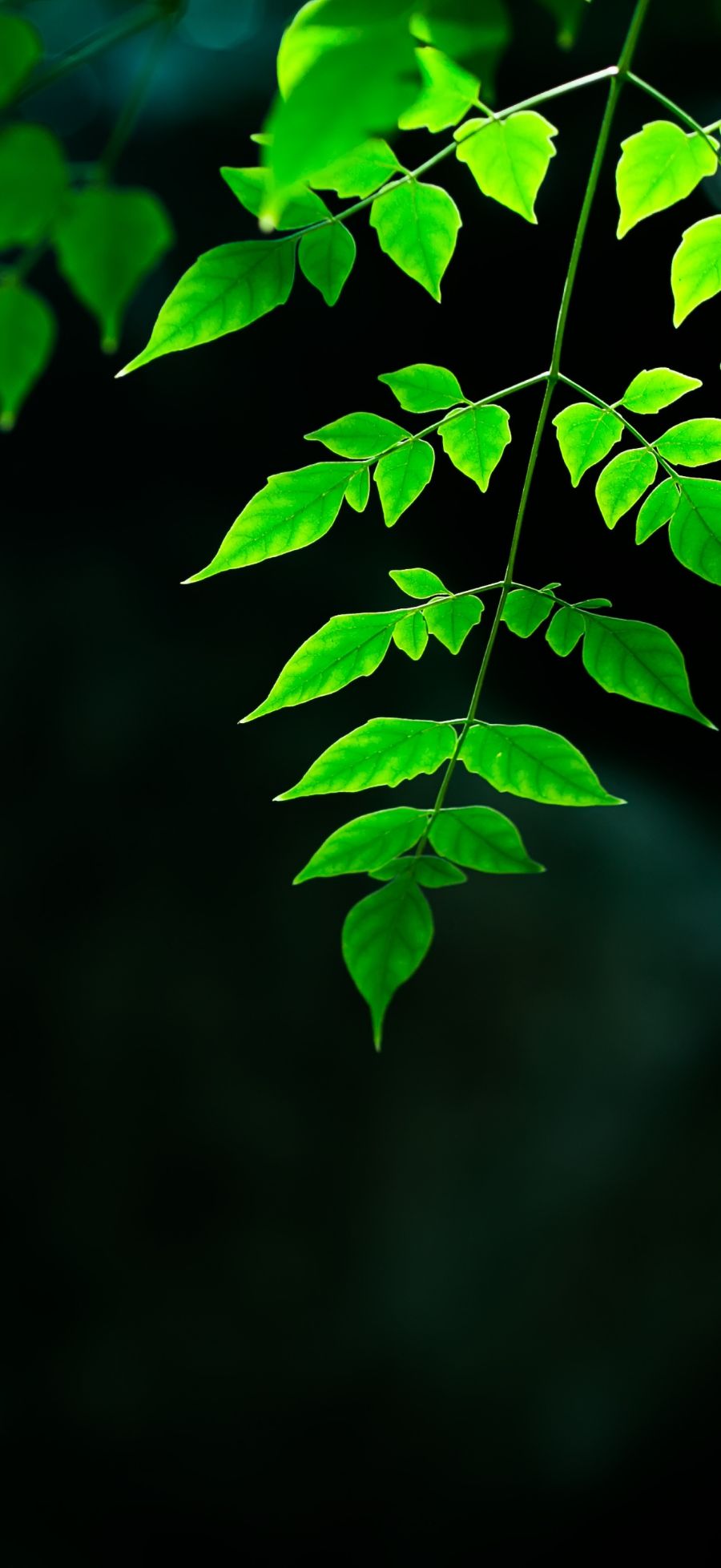 Gợi ý bộ sưu tập hình nền Xiaomi 17 Ultra đẹp, dễ dùng cho nhiều “vibe” khác nhau