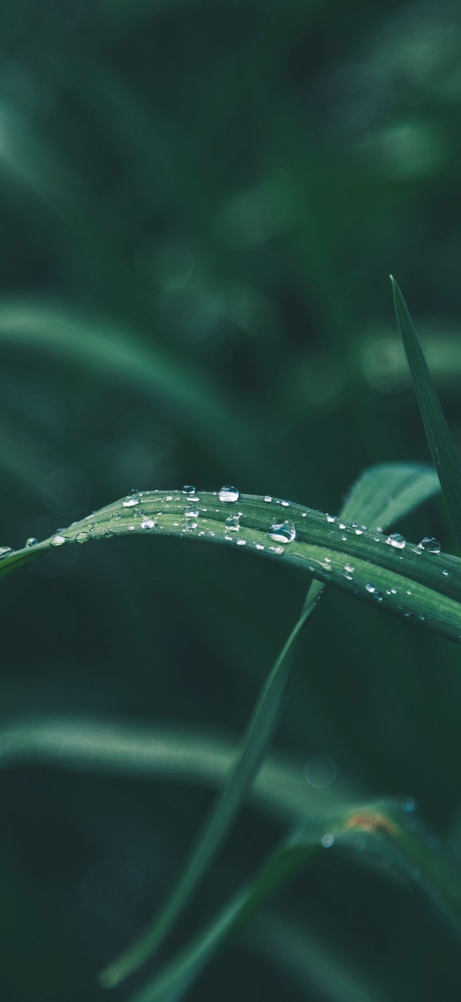 Gợi ý bộ sưu tập hình nền Xiaomi 17 Ultra đẹp, dễ dùng cho nhiều “vibe” khác nhau